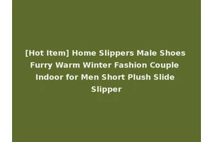 [Hot Item] Home Slippers Male Shoes Furry Warm Winter Fashion Couple Indoor for Men Short Plush Slide Slipper
