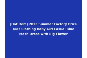 [Hot Item] 2023 Summer Factory Price Kids Clothing Baby Girl Casual Blue Mesh Dress with Big Flower
