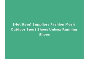 [Hot Item] Suppliers Fashion Mesh Outdoor Sport Shoes Unisex Running Shoes
