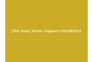 [Hot Item] Home Slippers HS2093015