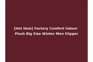 [Hot Item] Factory Comfort Indoor Plush Big Size Winter Men Slipper