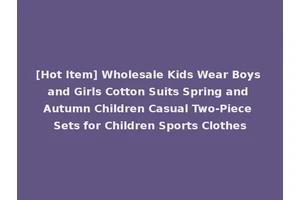 [Hot Item] Wholesale Kids Wear Boys and Girls Cotton Suits Spring and Autumn Children Casual Two-Piece Sets for Children Sports Clothes