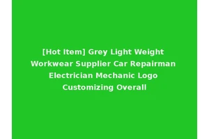 [Hot Item] Grey Light Weight Workwear Supplier Car Repairman Electrician Mechanic Logo Customizing Overall