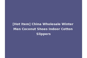 [Hot Item] China Wholesale Winter Men Coconut Shoes Indoor Cotton Slippers