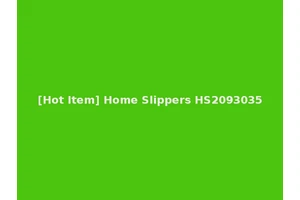 [Hot Item] Home Slippers HS2093035