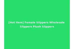 [Hot Item] Female Slippers Wholesale Slippers Plush Slippers