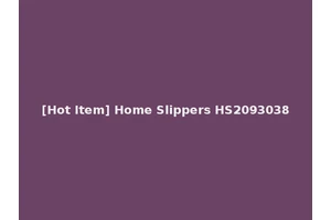 [Hot Item] Home Slippers HS2093038