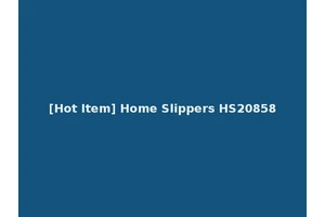 [Hot Item] Home Slippers HS20858