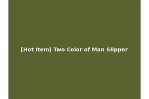 [Hot Item] Two Color of Man Slipper