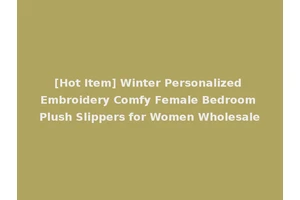 [Hot Item] Winter Personalized Embroidery Comfy Female Bedroom Plush Slippers for Women Wholesale