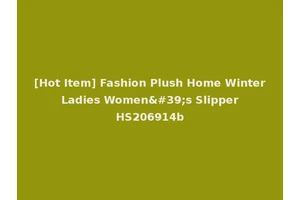[Hot Item] Fashion Plush Home Winter Ladies Women's Slipper HS206914b