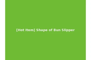 [Hot Item] Shape of Bun Slipper