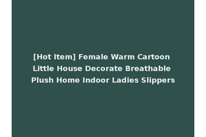 [Hot Item] Female Warm Cartoon Little House Decorate Breathable Plush Home Indoor Ladies Slippers