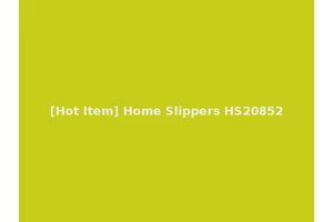 [Hot Item] Home Slippers HS20852