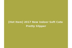 [Hot Item] 2017 New Indoor Soft Cute Pretty Slipper