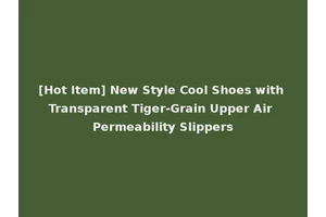 [Hot Item] New Style Cool Shoes with Transparent Tiger-Grain Upper Air Permeability Slippers