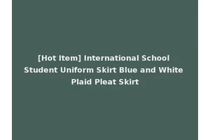 [Hot Item] International School Student Uniform Skirt Blue and White Plaid Pleat Skirt