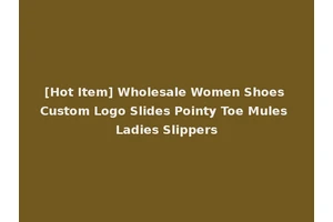 [Hot Item] Wholesale Women Shoes Custom Logo Slides Pointy Toe Mules Ladies Slippers