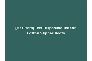 [Hot Item] Us9 Disposible Indoor Cotton Slipper Boots