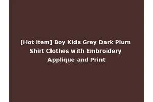 [Hot Item] Boy Kids Grey Dark Plum Shirt Clothes with Embroidery Applique and Print