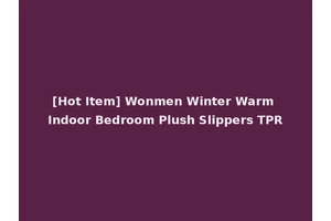 [Hot Item] Wonmen Winter Warm Indoor Bedroom Plush Slippers TPR