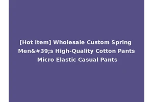 [Hot Item] Wholesale Custom Spring Men's High-Quality Cotton Pants Micro Elastic Casual Pants