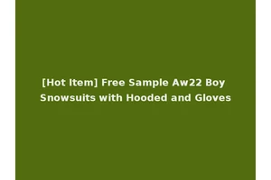 [Hot Item] Free Sample Aw22 Boy Snowsuits with Hooded and Gloves