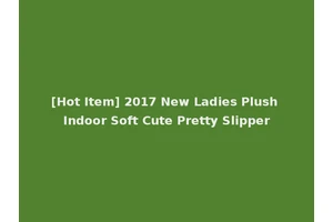 [Hot Item] 2017 New Ladies Plush Indoor Soft Cute Pretty Slipper