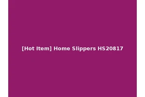 [Hot Item] Home Slippers HS20817