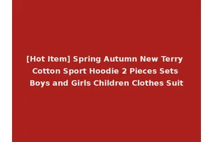 [Hot Item] Spring Autumn New Terry Cotton Sport Hoodie 2 Pieces Sets Boys and Girls Children Clothes Suit