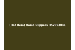 [Hot Item] Home Slippers HS2093041