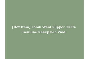 [Hot Item] Lamb Wool Slipper 100% Genuine Sheepskin Wool