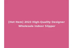 [Hot Item] 2023 High-Quality Designer Wholesale Indoor Slipper