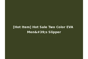 [Hot Item] Hot Sale Two Color EVA Men's Slipper