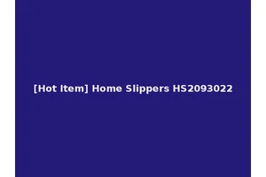 [Hot Item] Home Slippers HS2093022