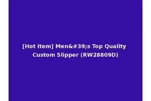 [Hot Item] Men's Top Quality Custom Slipper (RW28809D)