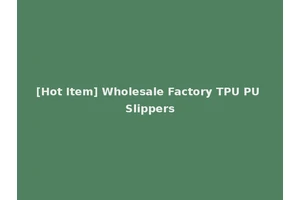 [Hot Item] Wholesale Factory TPU PU Slippers