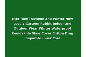 [Hot Item] Autumn and Winter New Lovely Cartoon Rabbit Indoor and Outdoor Wear Winter Waterproof Removable Shoe Cover Cotton Drag Separate Inner Core