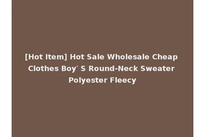 [Hot Item] Hot Sale Wholesale Cheap Clothes Boy′ S Round-Neck Sweater Polyester Fleecy