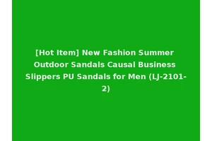[Hot Item] New Fashion Summer Outdoor Sandals Causal Business Slippers PU Sandals for Men (LJ-2101-2)