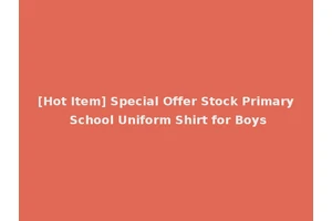 [Hot Item] Special Offer Stock Primary School Uniform Shirt for Boys