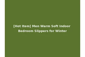 [Hot Item] Men Warm Soft Indoor Bedroom Slippers for Winter