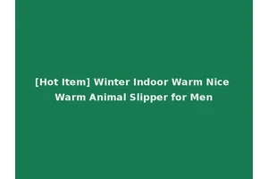 [Hot Item] Winter Indoor Warm Nice Warm Animal Slipper for Men