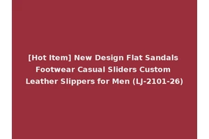 [Hot Item] New Design Flat Sandals Footwear Casual Sliders Custom Leather Slippers for Men (LJ-2101-26)