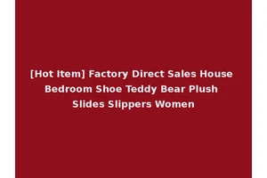 [Hot Item] Factory Direct Sales House Bedroom Shoe Teddy Bear Plush Slides Slippers Women