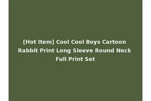 [Hot Item] Cool Cool Boys Cartoon Rabbit Print Long Sleeve Round Neck Full Print Set