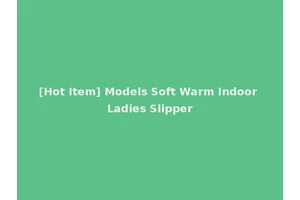 [Hot Item] Models Soft Warm Indoor Ladies Slipper