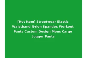 [Hot Item] Streetwear Elastic Waistband Nylon Spandex Workout Pants Custom Design Mens Cargo Jogger Pants