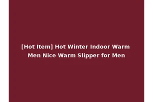 [Hot Item] Hot Winter Indoor Warm Men Nice Warm Slipper for Men