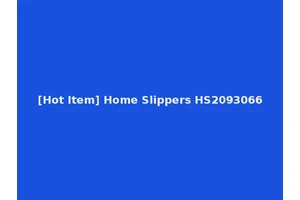 [Hot Item] Home Slippers HS2093066